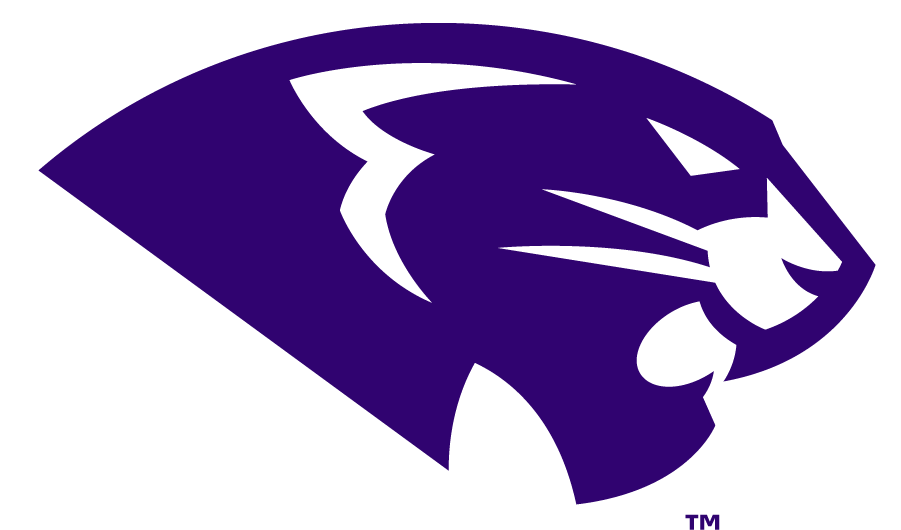 High Point Panthers 2017-Pres Secondary Logo v2 iron on transfers for T-shirts